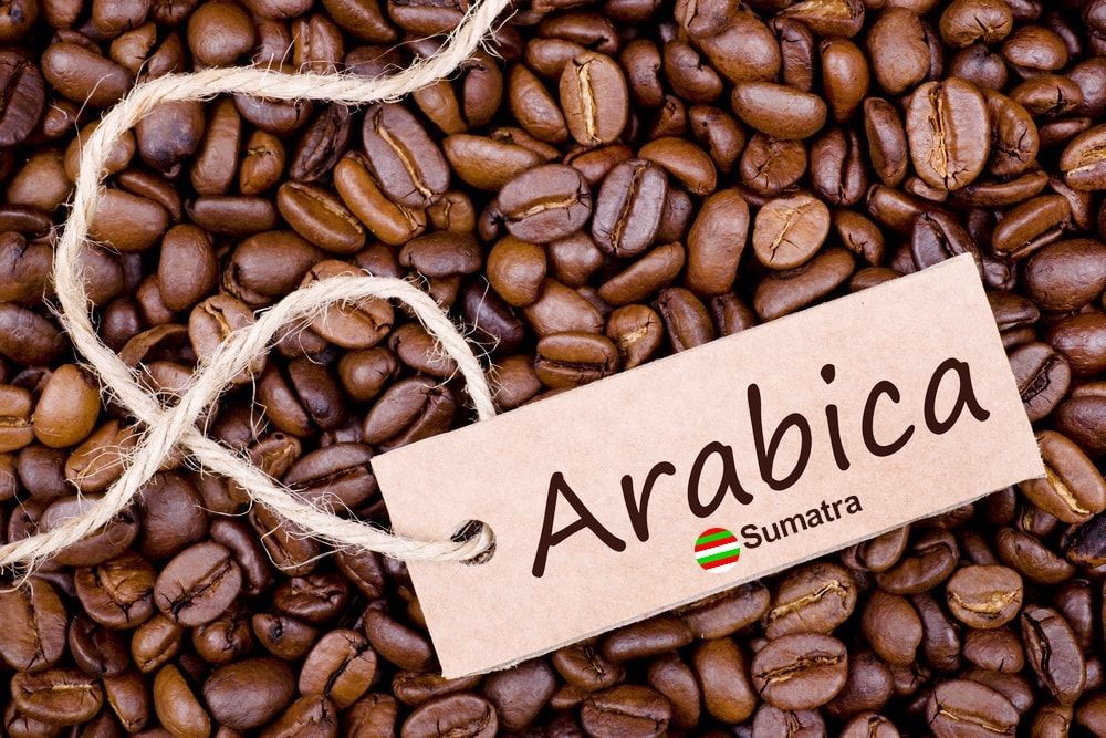 دانه قهوه سوماترا